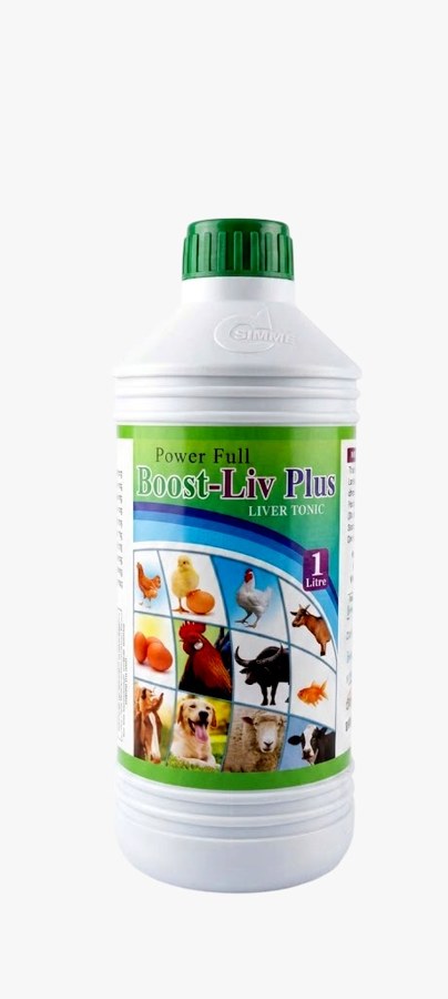 Boost-Liv Plus — Liver Tonic by Desh Agrovet